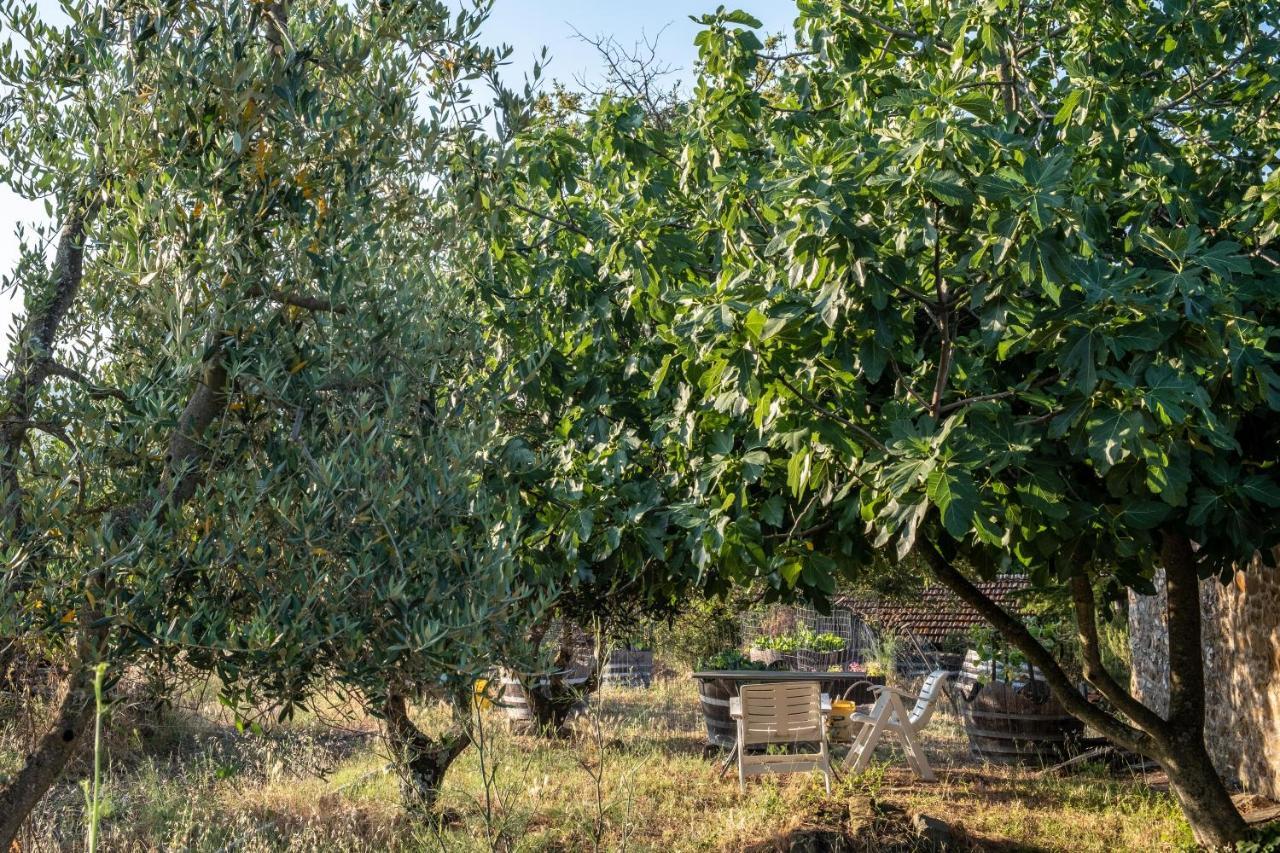 Podere Pruneto Radda in Chianti Dış mekan fotoğraf