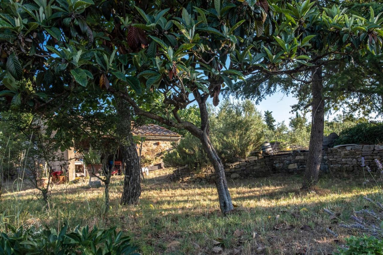 Podere Pruneto Radda in Chianti Dış mekan fotoğraf