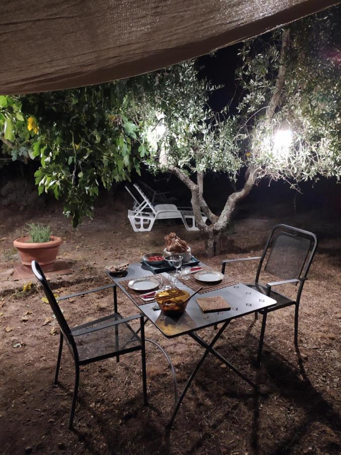 Podere Pruneto Radda in Chianti Dış mekan fotoğraf